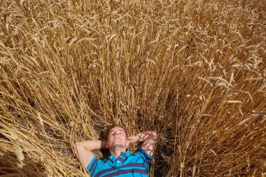 buğday alanı yürüyüş çiftçi