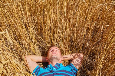 Bir çiftçi veya alında saç çizgisi hipster yalan buğday alanında