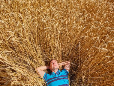Bir çiftçi veya alında saç çizgisi hipster yalan buğday alanında