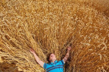 Bir çiftçi veya alında saç çizgisi hipster yalan buğday alanında