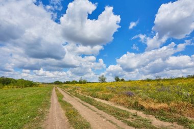 kırsal yol ile buğday ile alanlar