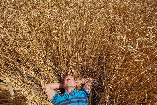 buğday alanı yürüyüş çiftçi