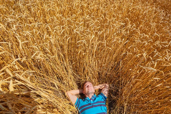 Bir çiftçi veya alında saç çizgisi hipster yalan buğday alanında