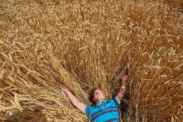 Bir buğday tarlasında duran çiftçi
