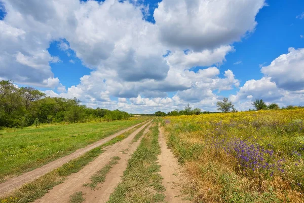 Countryside road through fields with wheat — Stock Photo, Image