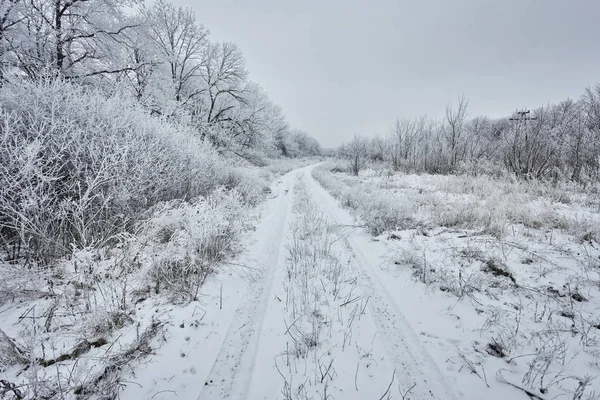 Wintry landscape with a dirt road