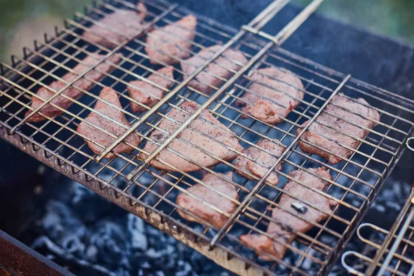 Forest.shashlik doğa, Barbekü. Benim pişirme işlemi