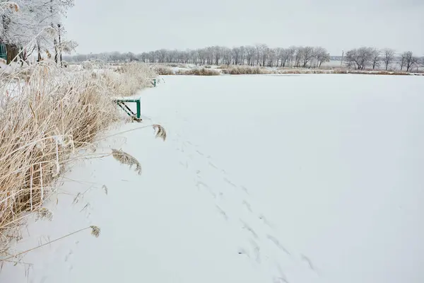 Lago congelado no dia ensolarado do inverno com céu azul — Fotografia de Stock