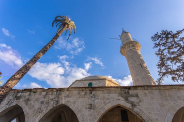 Hala Sultan Tekke mosque by larnaka