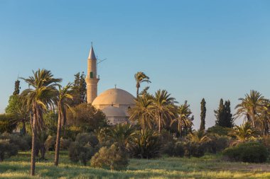 Hala Sultan Tekke mosque by larnaka