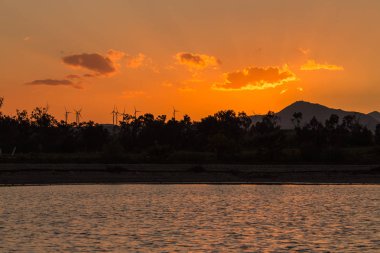 Flamingolar wade günbatımı olarak tuzlu su Gölü Larnaka, Kıbrıs