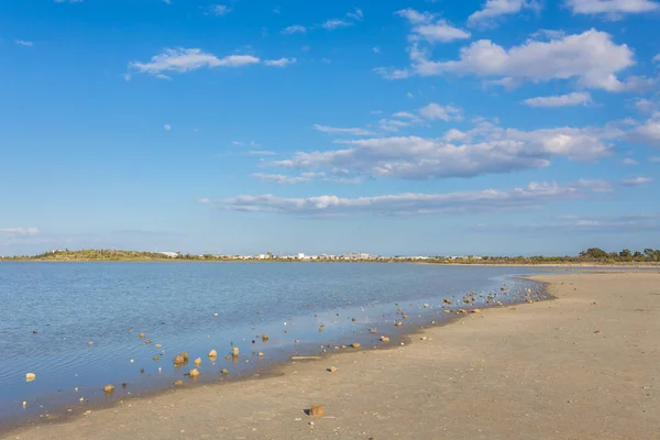 Солені озера, природне явище поблизу Ларнака — стокове фото