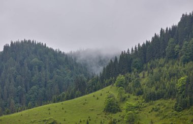 dağlarda Misty dawn