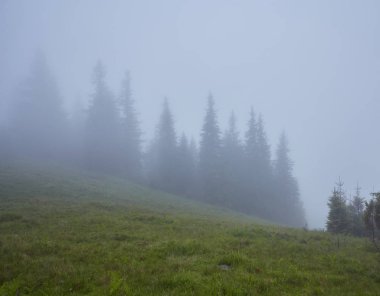 dağlarda Misty dawn