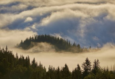 dağlarda Misty dawn