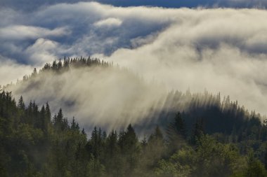 dağlarda Misty dawn