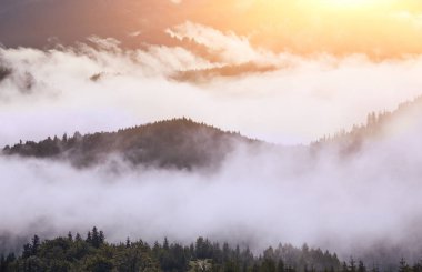 dağlarda Misty dawn