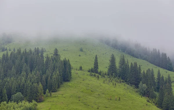 Dağlarda Misty dawn — Stok fotoğraf