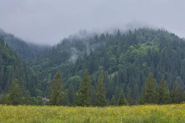 Misty dawn i bergen — Stockfoto