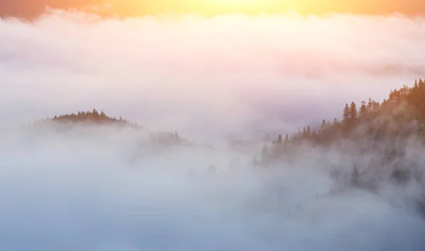 雾霭的清晨，在山上 — 图库照片