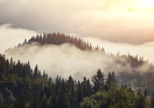 Misty dawn in the mountains — Stock Photo, Image