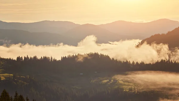 Misty dawn in the mountains