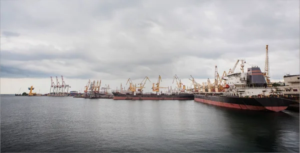 Levage de grues à cargaison, navires et sèche-grain dans le port d'Odess Sea — Photo