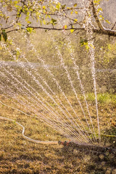 Dispositivo de jardim de irrigação. Sistema de irrigação - técnica de wa — Fotografia de Stock
