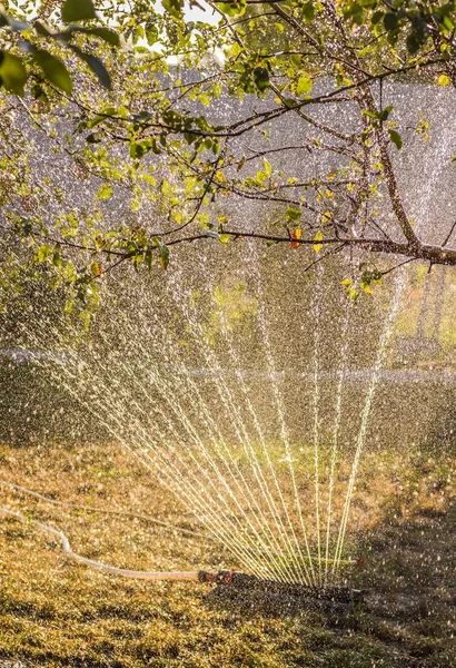 Apparaat voor bevloeiing tuin. Irrigatiesysteem - techniek van het water in de tuin. — Stockfoto