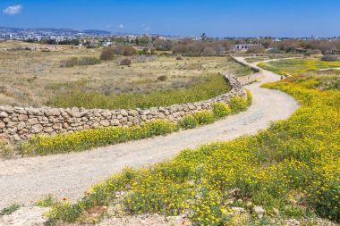 Doğa Kato Pafos arkeolojik Park, Kıbrıs için.