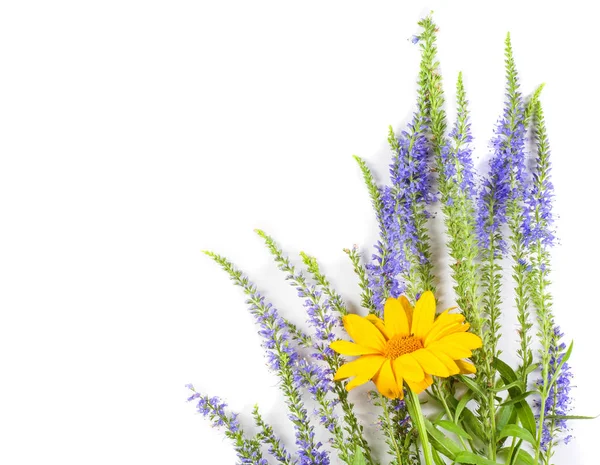 Ramo de flores silvestres secas sobre fondo de mesa blanco — Foto de Stock