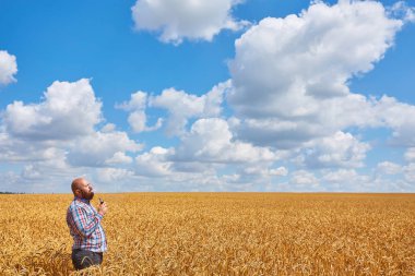 Çiftçi buğday mavi gökyüzü ile olgun bir alanda elektronik sigara içiyor