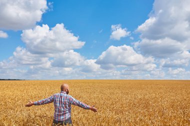 Bir buğday tarlasında duran çiftçi