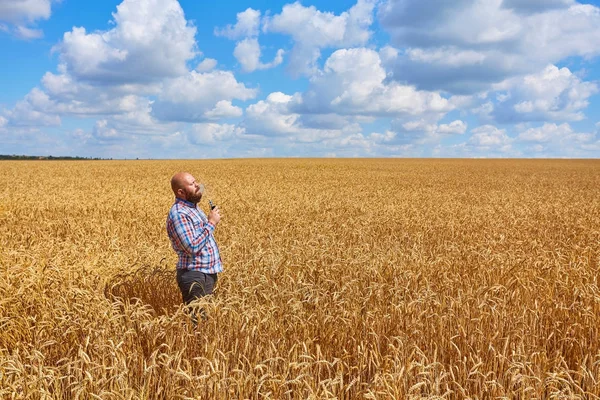 Farmář kouří elektronické cigarety a volání v oboru zralé pšenice s modrou oblohou — Stock fotografie