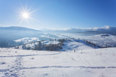 Kış manzarası ile lots-in kar ve ağaçlar