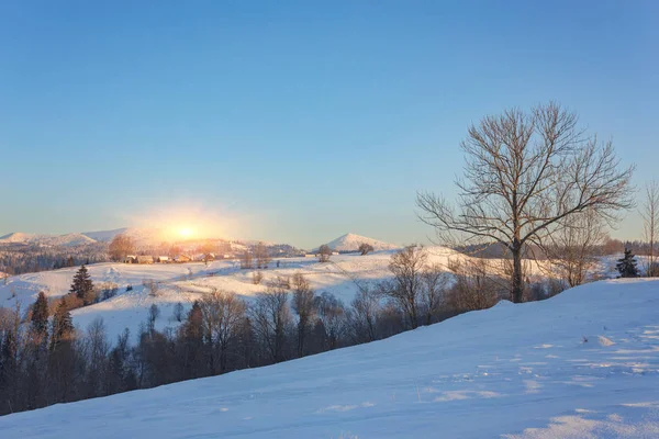 Fantastische avond winterlandschap — Stockfoto