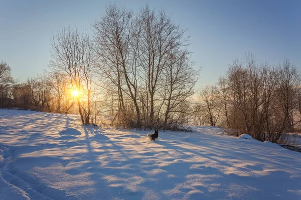 Beau paysage hivernal dans les montagnes. — Photo