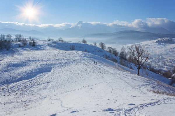 Zimní krajina s množstvím sněhu a stromy — Stock fotografie