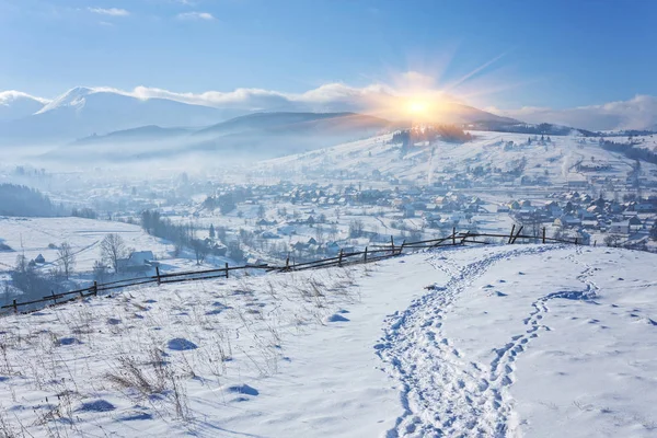 有很多的雪和树冬季景观 — 图库照片