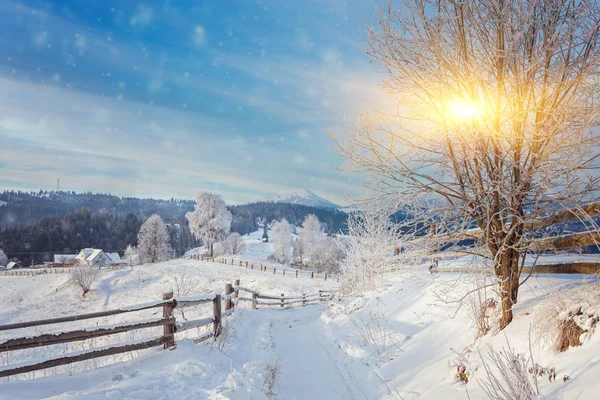 山中美丽的冬季风景. — 图库照片