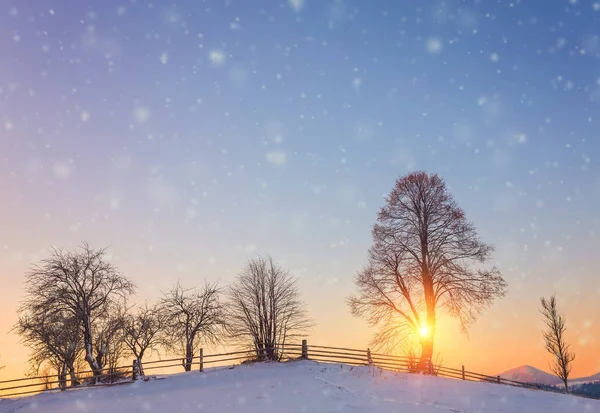 산 속의 아름다운 겨울 풍경. — 스톡 사진