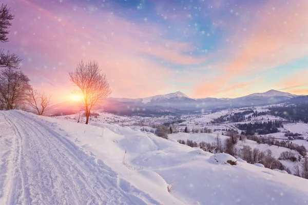 Krásná zimní krajina v horách. — Stock fotografie