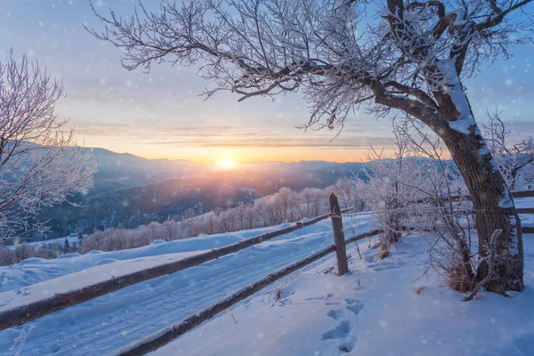 Bellissimo paesaggio invernale in montagna. — Foto Stock