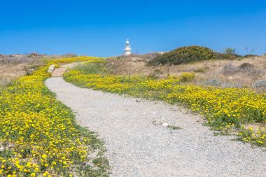 Pafos, Kıbrıs için eski deniz feneri