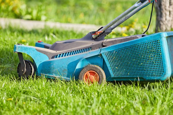 Cortador de grama cortando grama verde no quintal — Fotografia de Stock