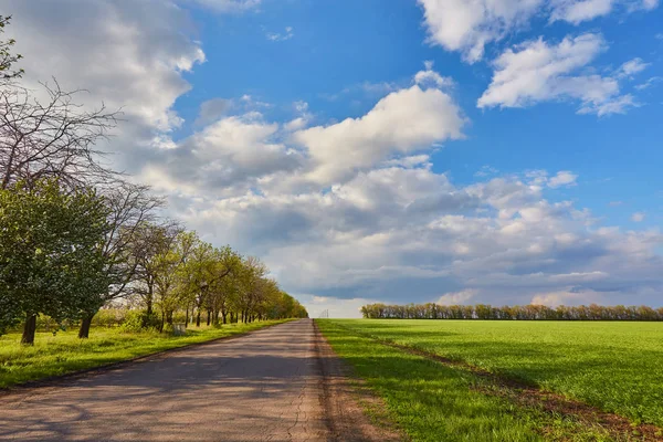 Strada di campagna in estate giornata di sole — Foto Stock