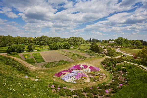 Park in The Spring.Tulips. — Stock Photo, Image