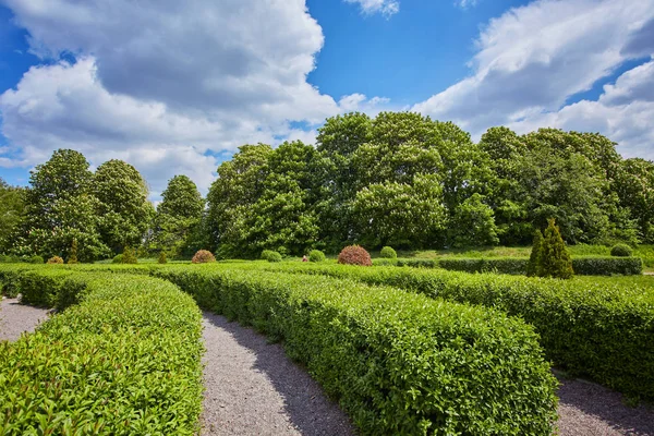 Labirintus egy parkban, a nyári időszakban egy napsütéses napon — Stock Fotó