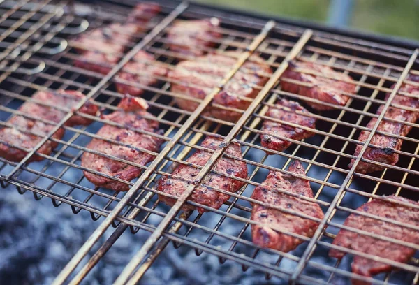 Tiempo de parrilla Parrilla en jardín —  Fotos de Stock