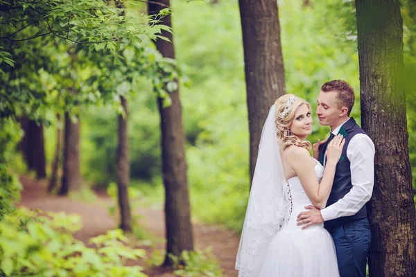 Joven pareja de boda disfrutando de momentos románticos — Foto de Stock